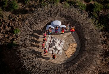 Bird nest roof terrace