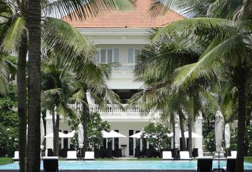 The pool surrounded by palms