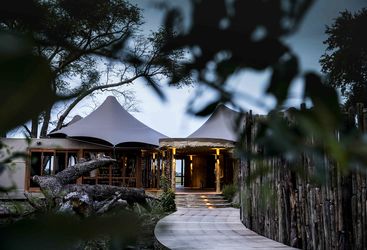 Mombo Camp extraneous