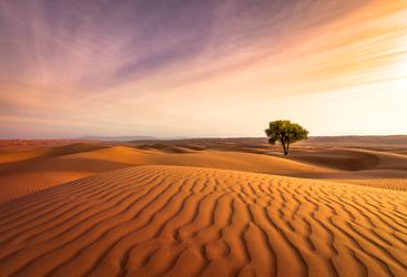 sunset in the Omani desert