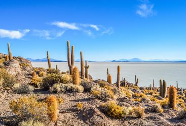 Salar de Uyuni, Bolivia