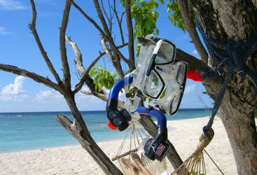 Goggles in tree at Soneva Fushi