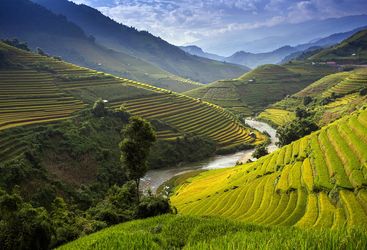 Hills in Vietnam