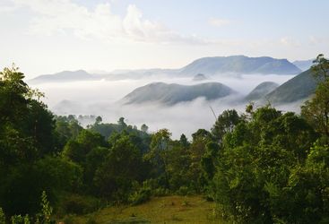 Burmese morning landscape