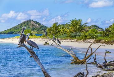 Beach in Grenada