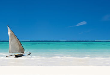 Bush and beach, Tanzania