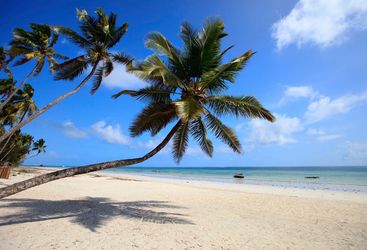 Zanzibar beach