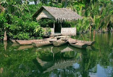 Riverside hut on the Mekong Delta