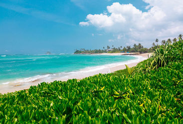 Sri Lanka ocean shore