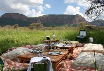 Bush picnic