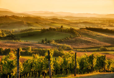 Tuscany hills