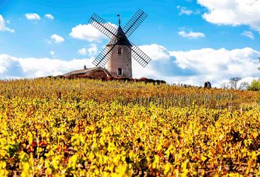 France windmill
