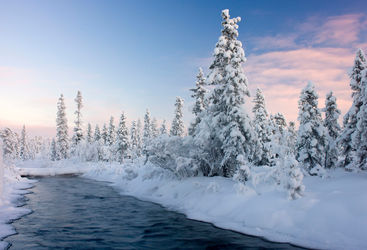 Swedish Arctic