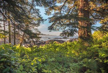 Wild Pacific Trail