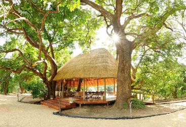 Hut under mahogany trees