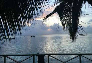Landscape Providencia