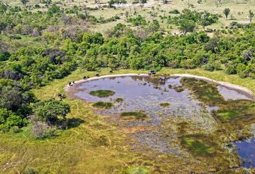 Okavango Delta view