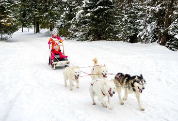 Girls sledding with husky team