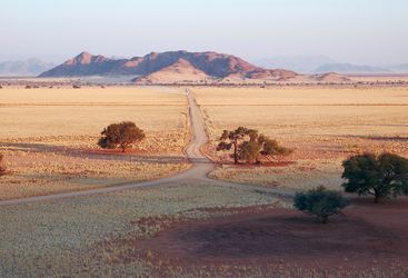 Namib desert road