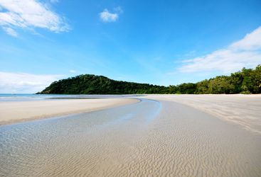 View of the beach and greenery at Cape Tribulation