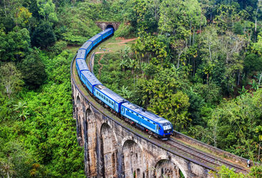 tea_hills_train