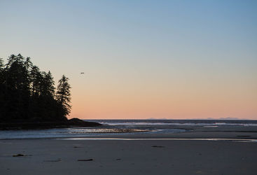 masett beach haida gwaii