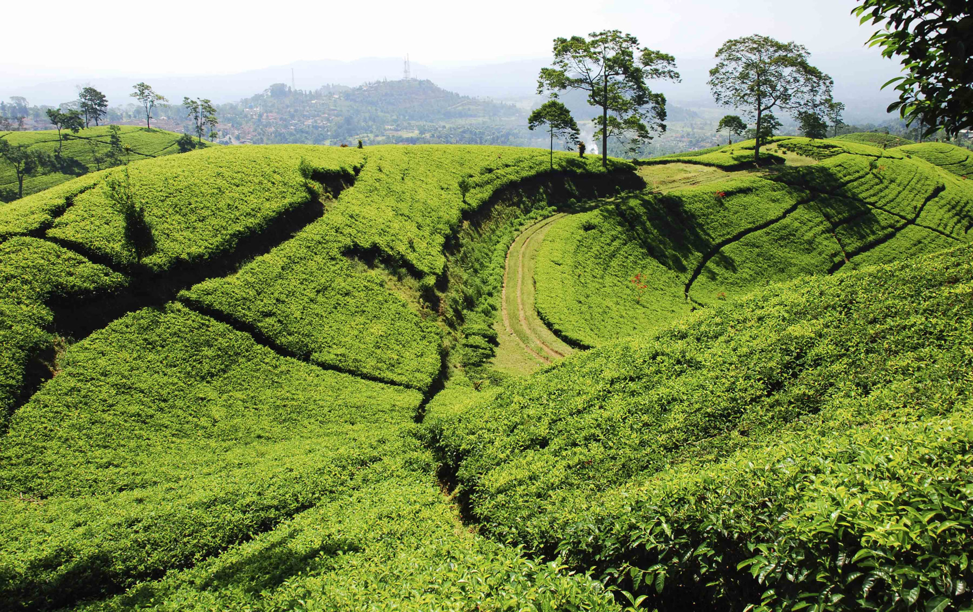 Exploring Java Travel Blog Original Travel