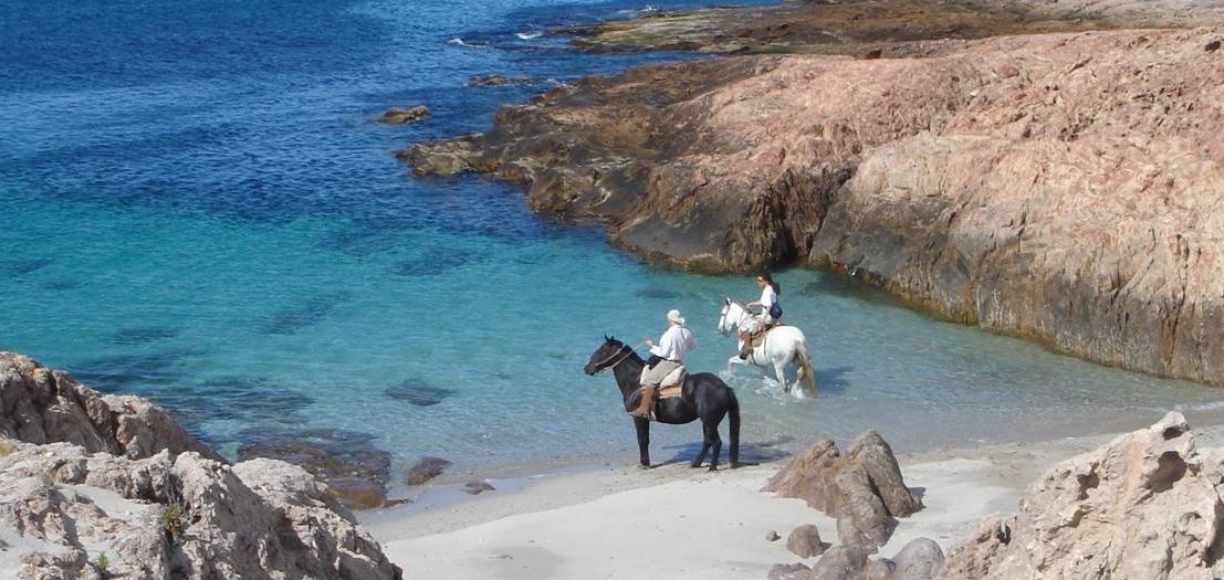 Turismo ecológico: cinco postales chubutenses