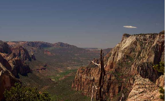Observation point