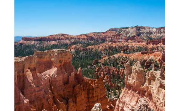 Navajo Trail
