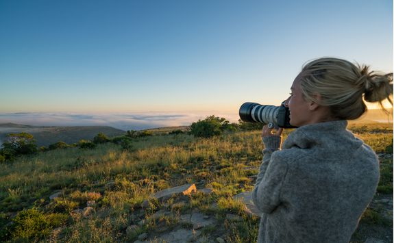 Safari Photography