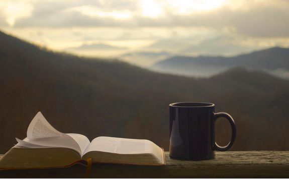 Reading with a view