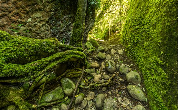 Trekking in KwaZulu-Natal