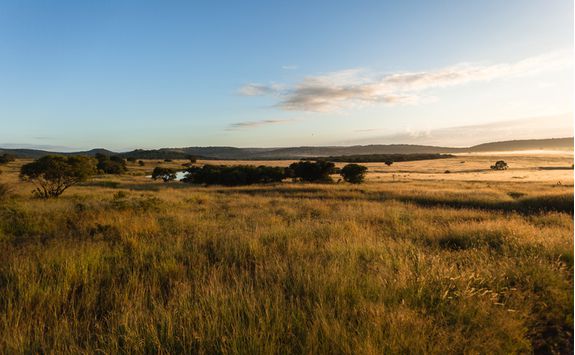 Phinda Game Reserve