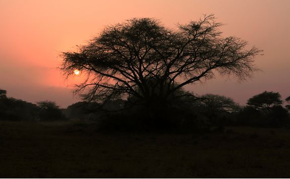 Sunset in Phinda