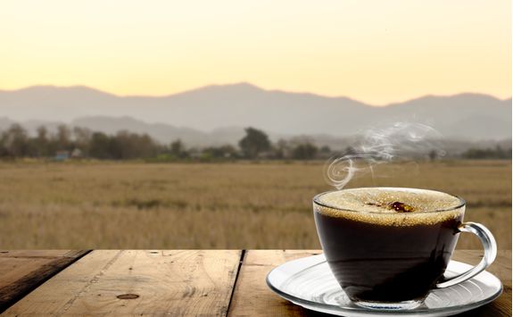 Morning coffee on safari