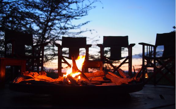 Campfire, South Africa