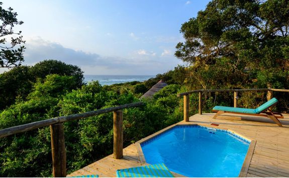 Deluxe Ocean Pool Villa, Thonga Beach Lodge