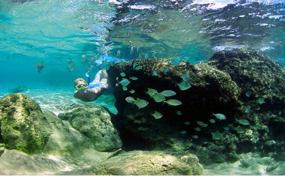 Snorkelling off the coast of Thonga Beach Lodge