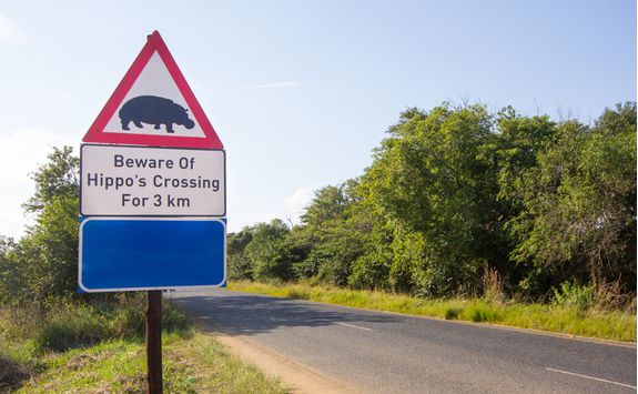Hippo crossing sign