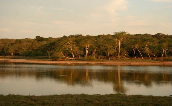 Lake in Maputaland