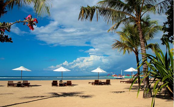 Sanur beach palm trees