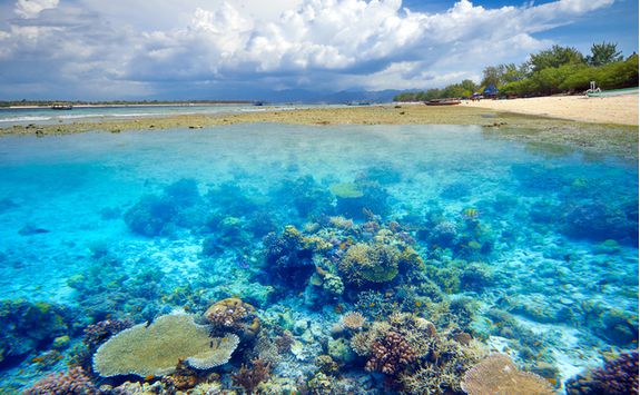 Gili coral reef