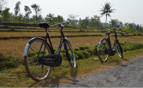 Cycling in Central Java