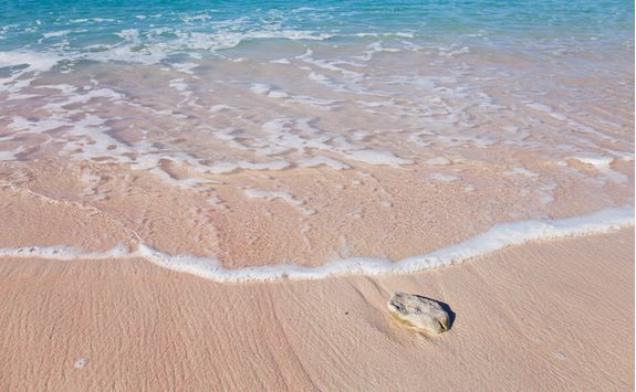 Komodo pink beach