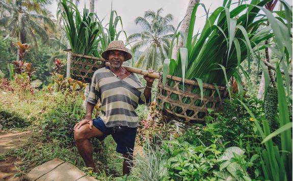Rural Farmer, Indonesia
