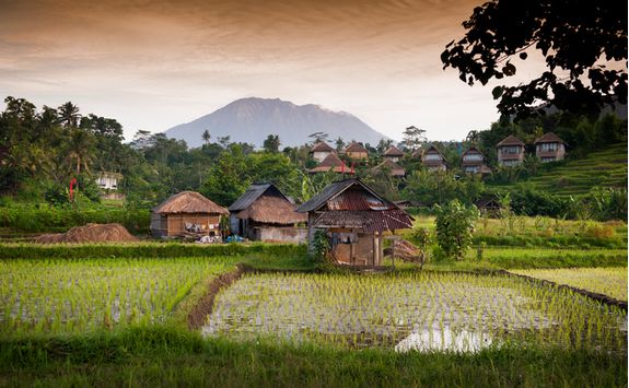 Village, Bali
