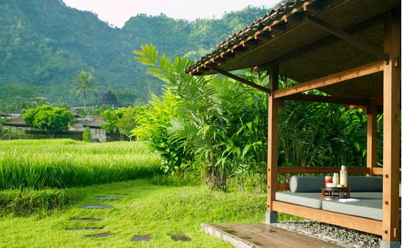 rice field from hotel java