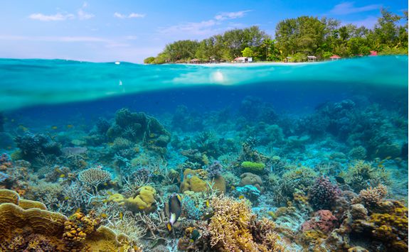 indonesia underwater