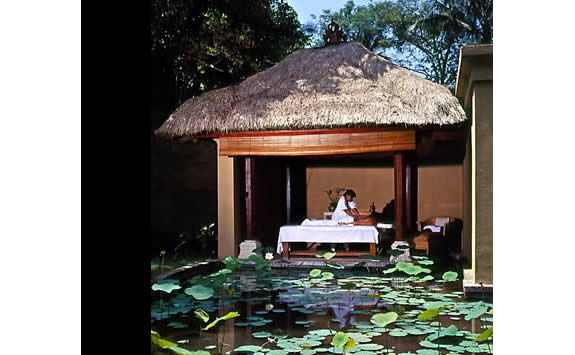 amandari massage